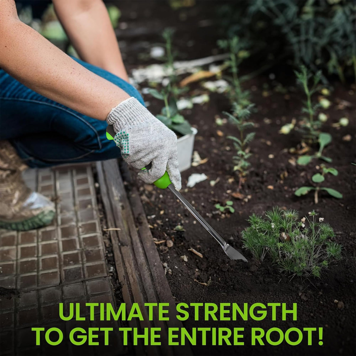 Garden Guru stainless steel weed puller with two-pronged fork captures deep weed roots efficiently.