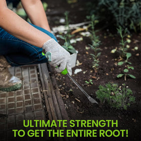 Garden Guru stainless steel weed puller with two-pronged fork captures deep weed roots efficiently.