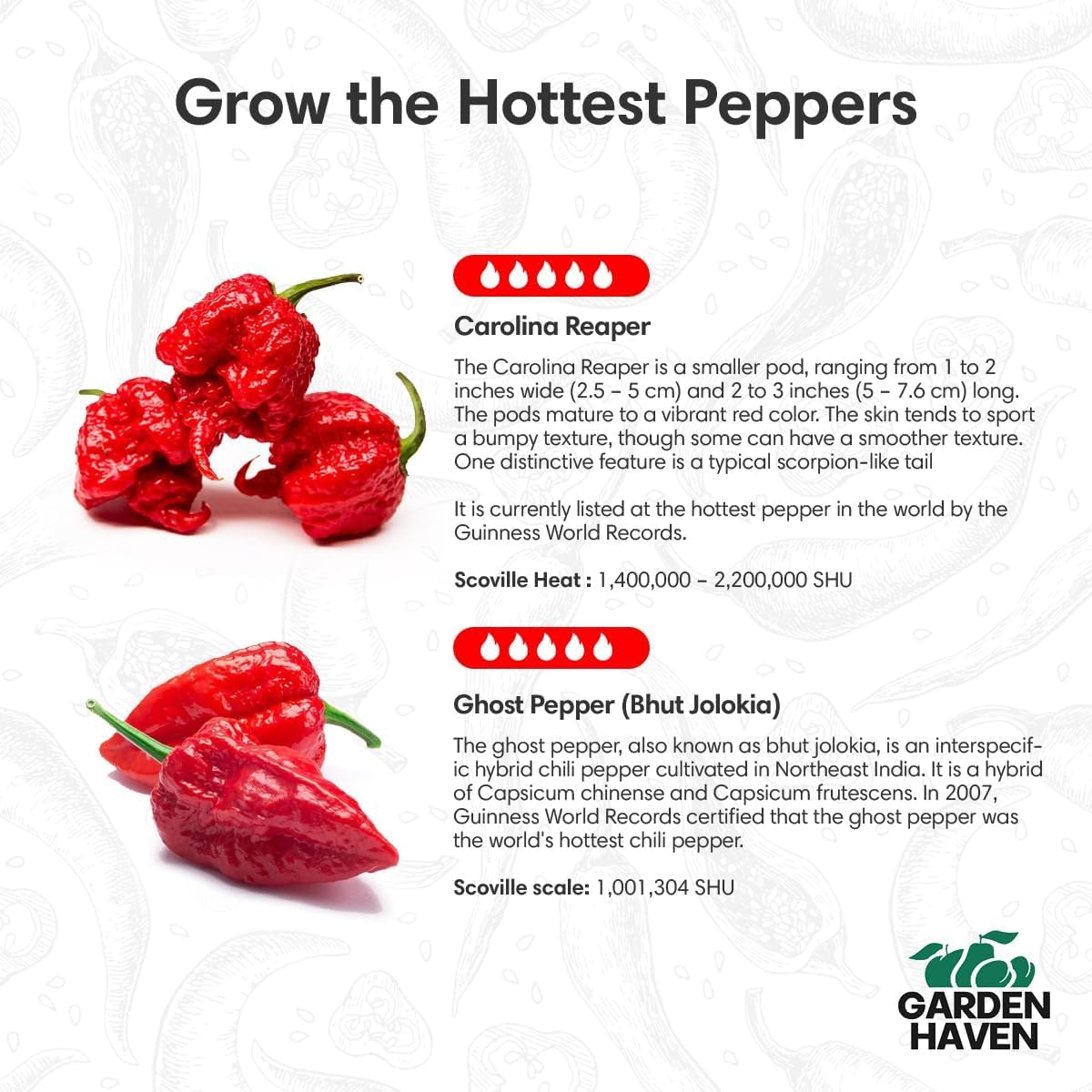 Garden Haven Ghost Pepper seeds close-up highlighting bold heat potential
