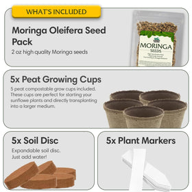 Garden Haven Moringa expandable soil discs 5-pack hydrate to activate growth