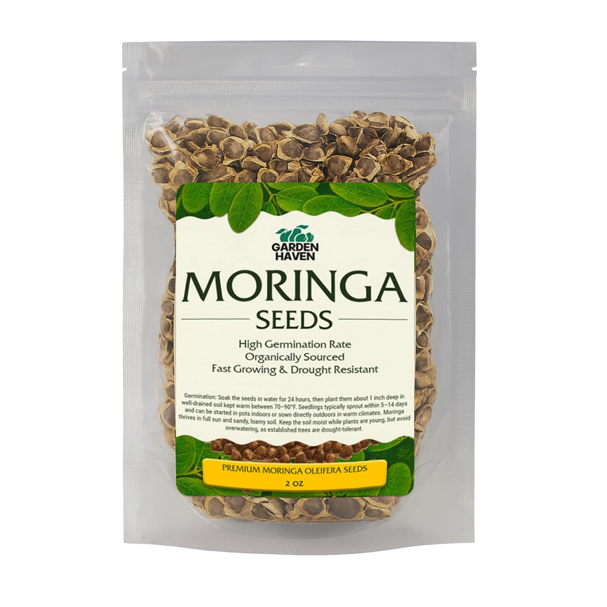 Garden Haven Moringa leaves and pods view showcases fresh harvest potential for kitchen use