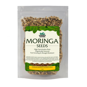 Garden Haven Moringa leaves and pods view showcases fresh harvest potential for kitchen use