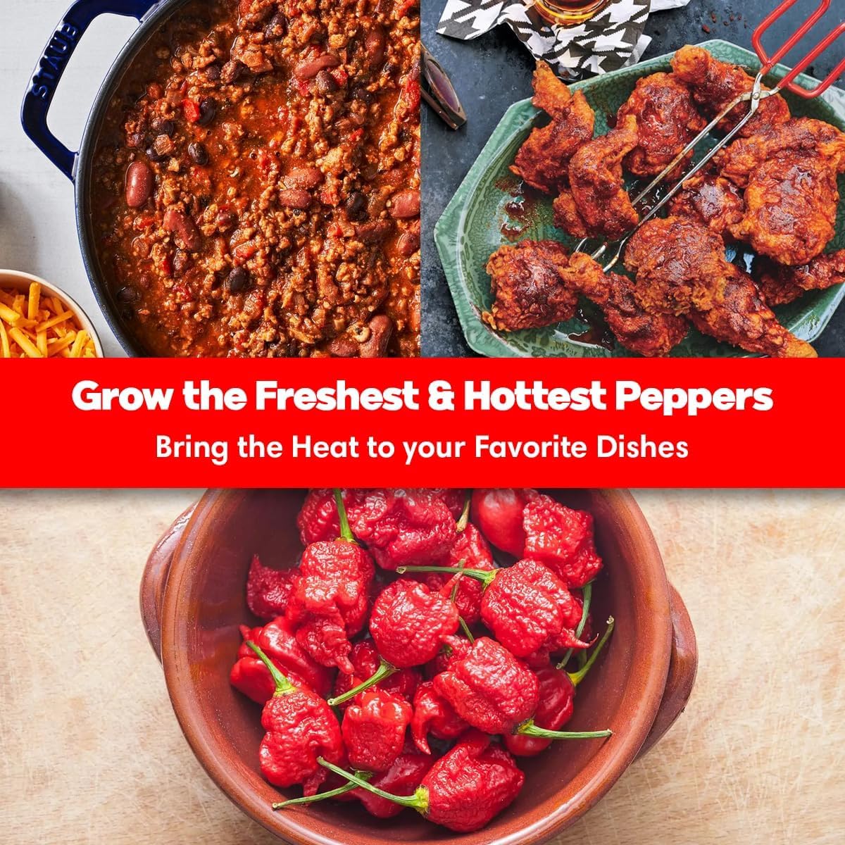 Garden Haven peppers displayed on plant markers amid budding seedlings for a neat home garden