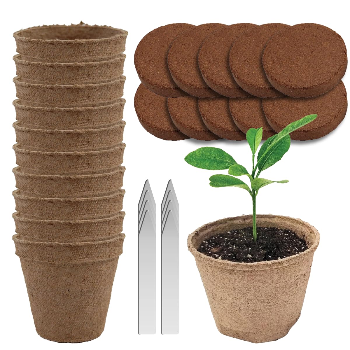 Garden Haven seedling pots close-up for indoor germination