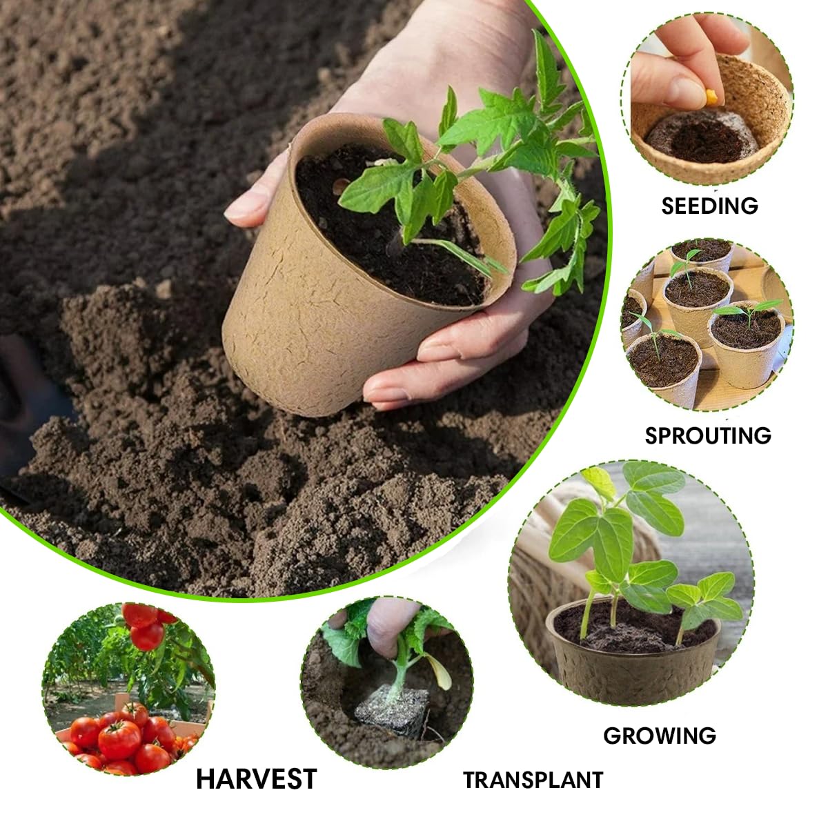 Garden Haven seedling starter kit components made in the USA