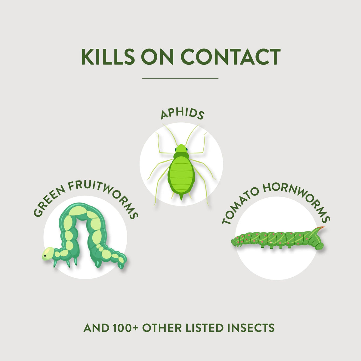 Garden Safe houseplants leaves image demonstrates protection against common pests