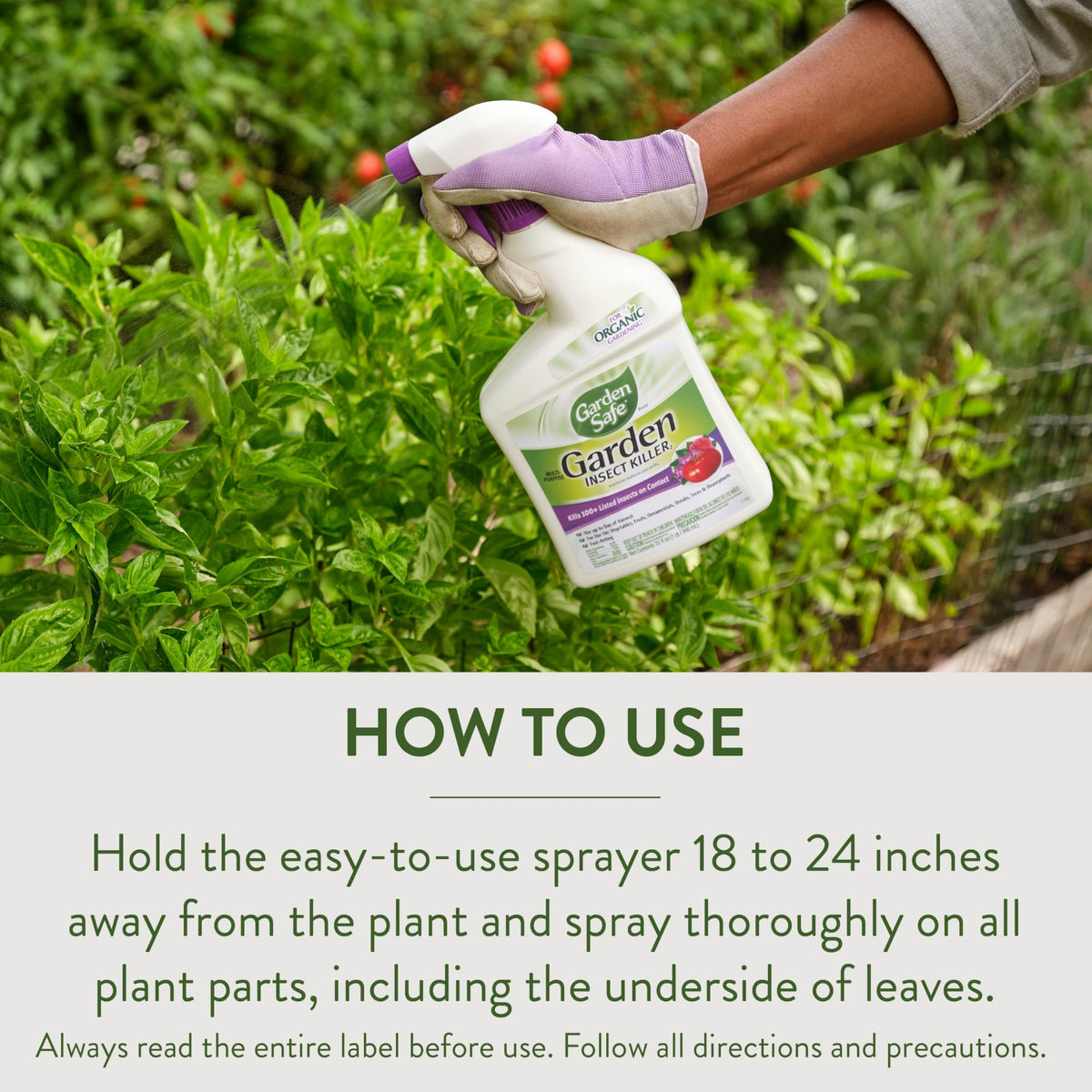 Garden Safe Insect Killer2 used on ornamental trees and shrubs