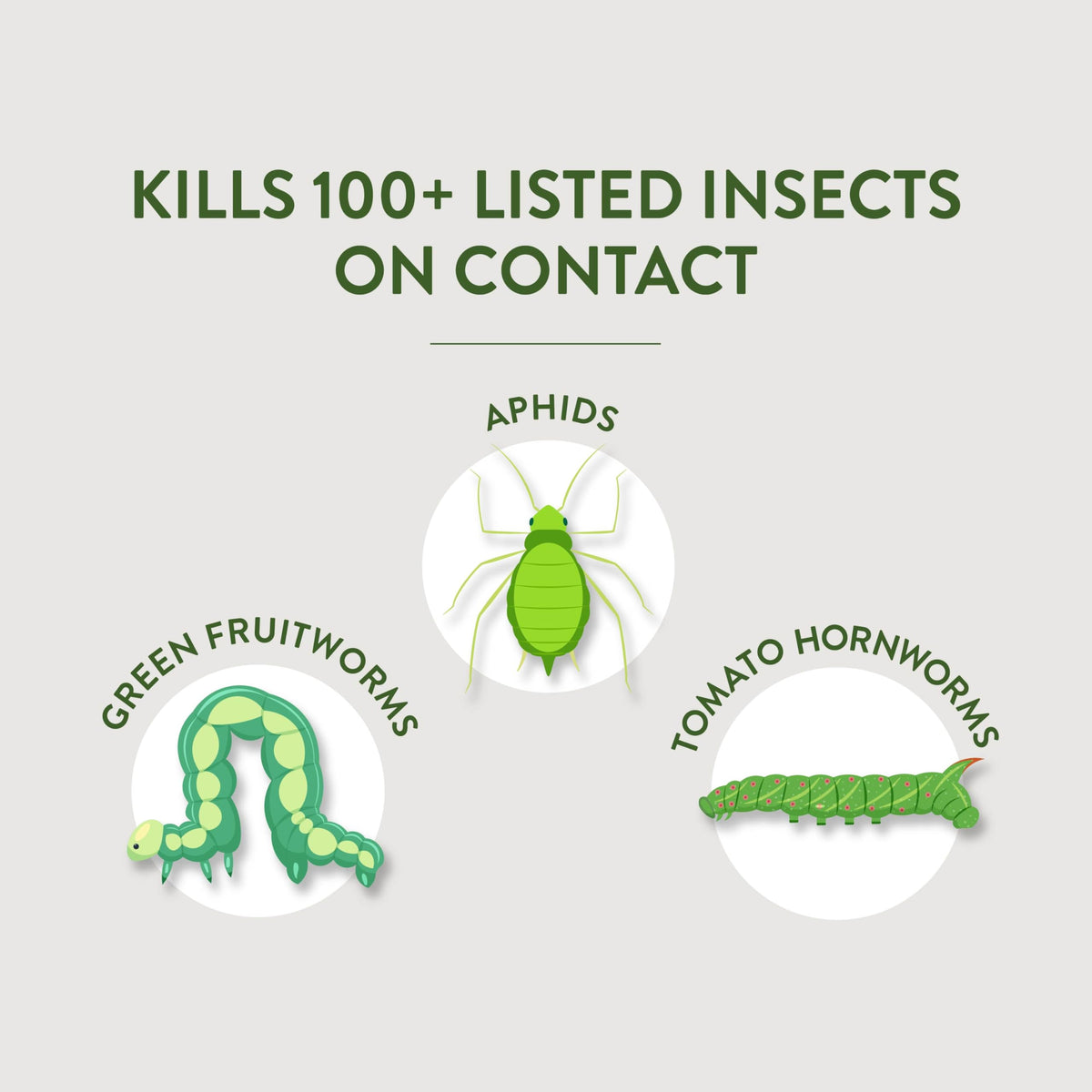 Garden Safe Insect Killer2 being sprayed on vegetables to protect harvest quality