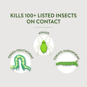 Garden Safe Insect Killer2 being sprayed on vegetables to protect harvest quality