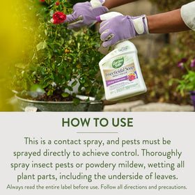 Garden Safe spray on ornamentals inside a greenhouse.