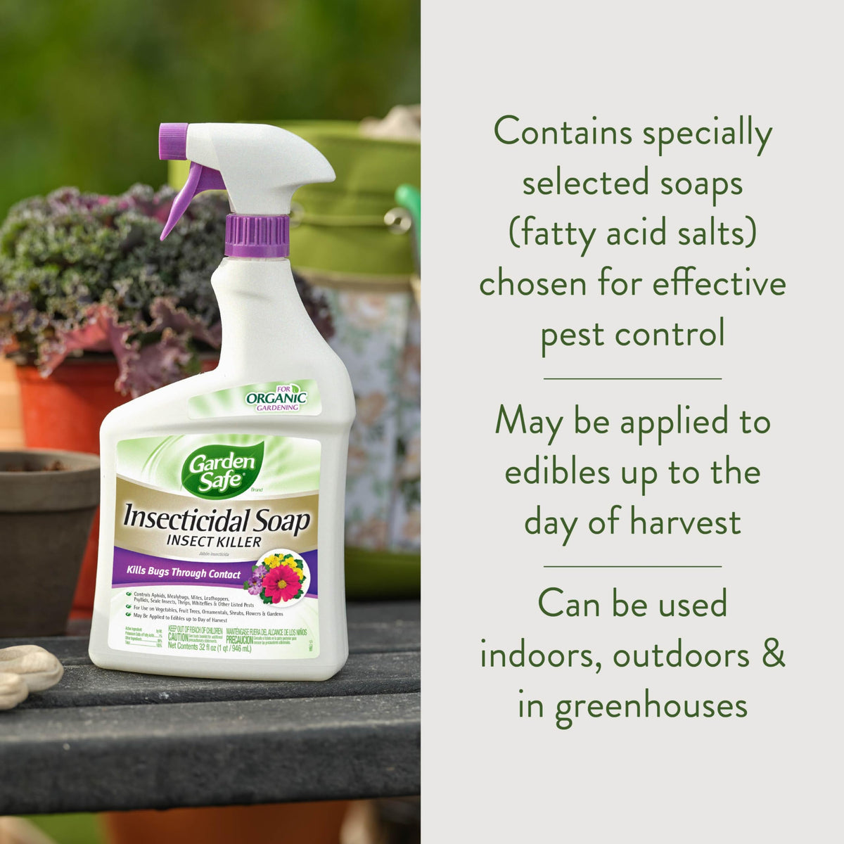 Garden Safe label close-up highlights fatty acid salts for pest control.