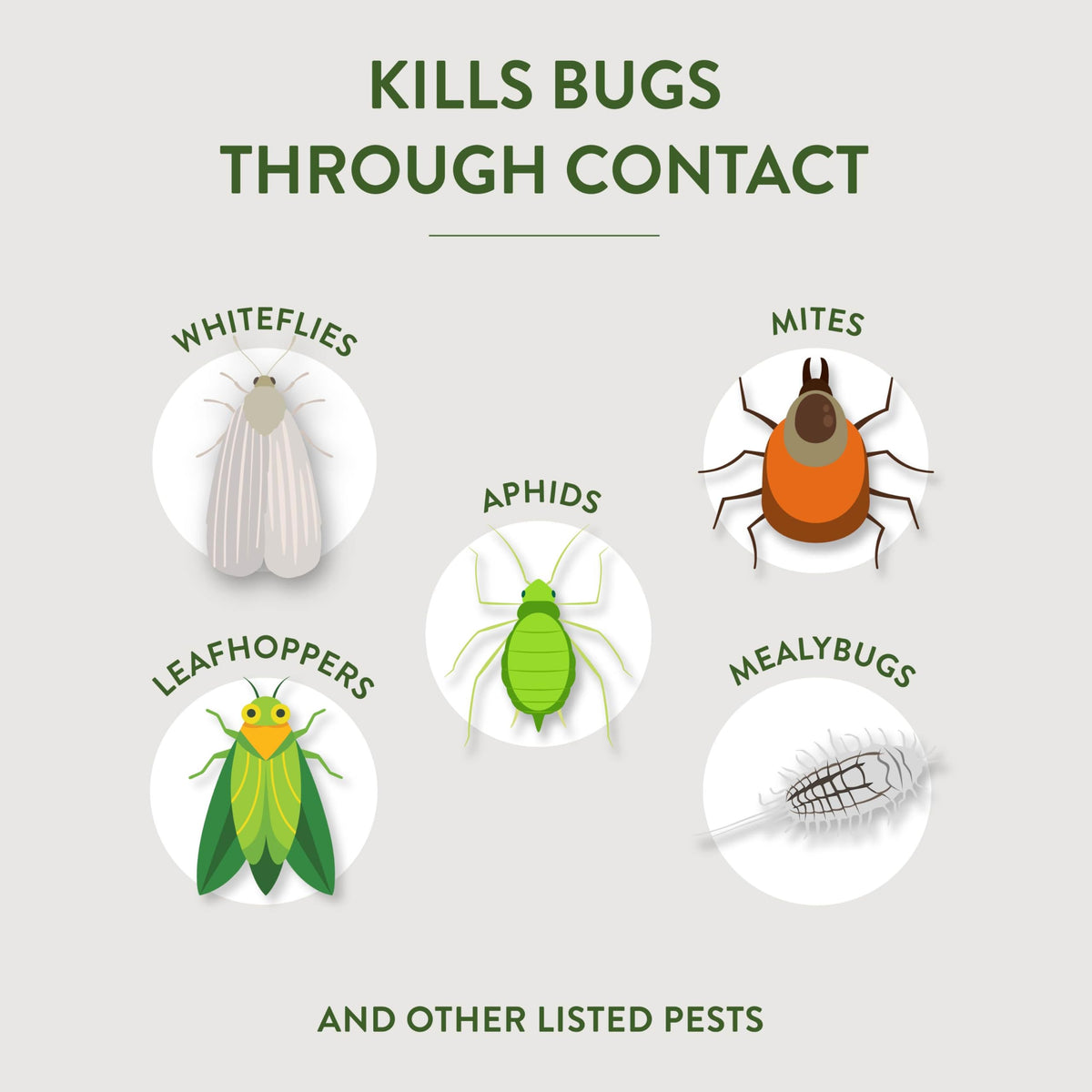 Garden Safe mist on leaf undersides shows contact kill action.