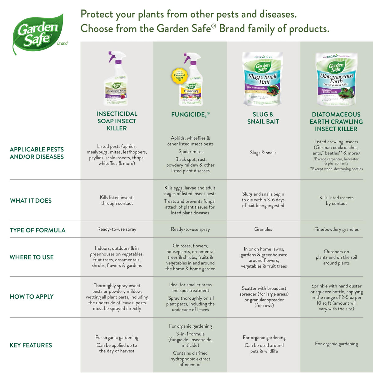 Pest-free leaves show healthy growth after Garden Safe spray.