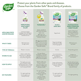 Pest-free leaves show healthy growth after Garden Safe spray.