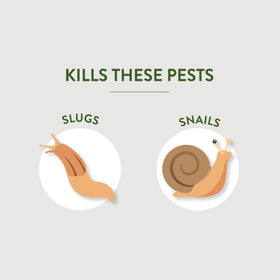 Garden Safe iron phosphate formula shown as the active ingredient for non-toxic slug control.