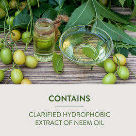 Garden Safe Neem Oil Extract spray on roses demonstrates pest protection