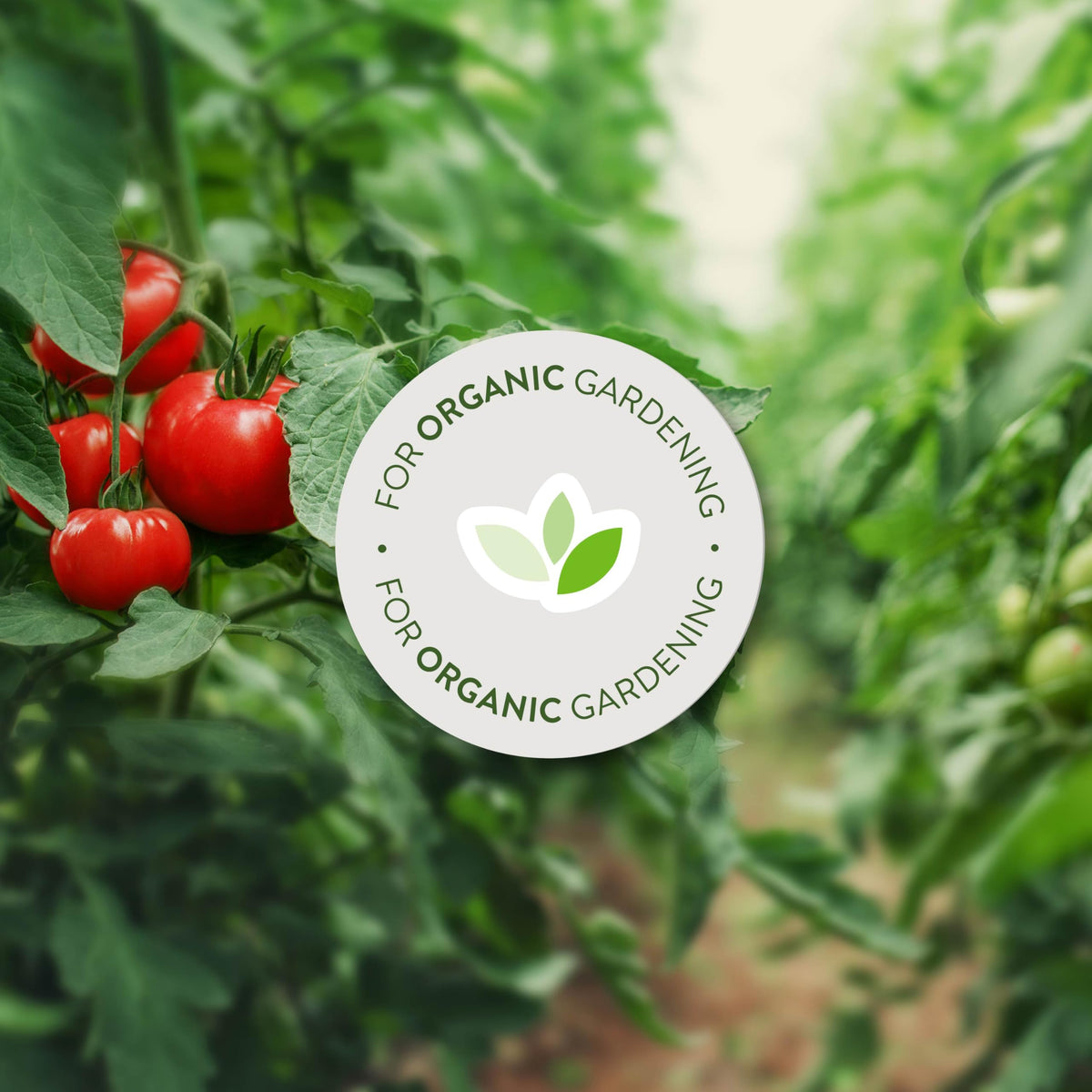 Garden Safe spray mist targeting aphids on plant foliage