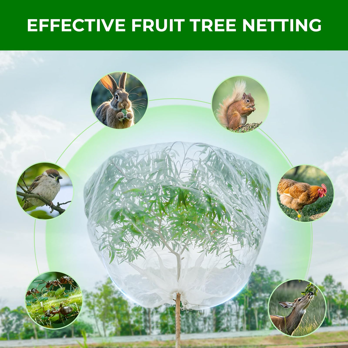 Garden Tailor pest barrier protects berries, tomatoes, and fruit crops