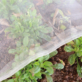 Garden Tailor garden netting pest barrier 4x10 protects vegetables from pests