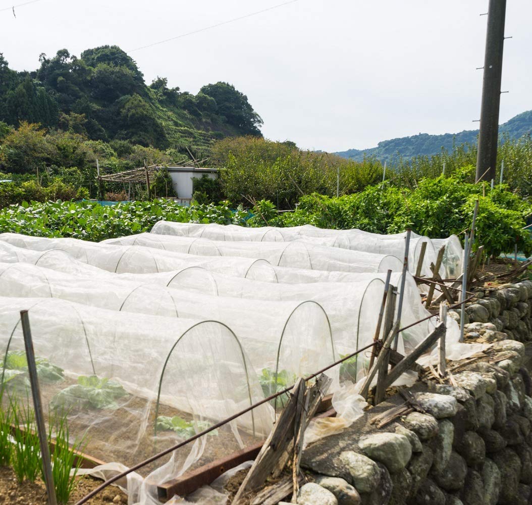 Garden Tailor lightweight netting guards crops without blocking light