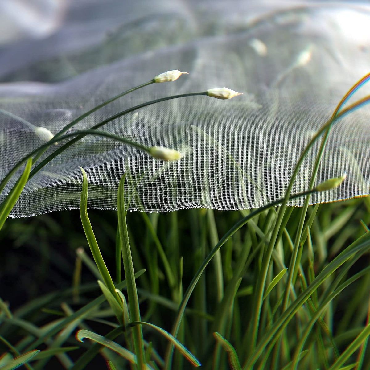 Garden Tailor netting shielding vegetables, fruits, and flowers from pests