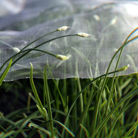 Garden Tailor netting shielding vegetables, fruits, and flowers from pests