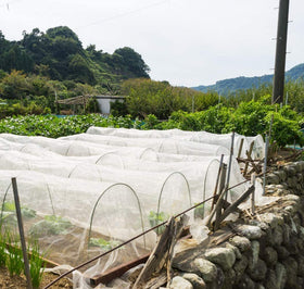 Garden Tailor roll of netting ready to cut to any bed or cage size.
