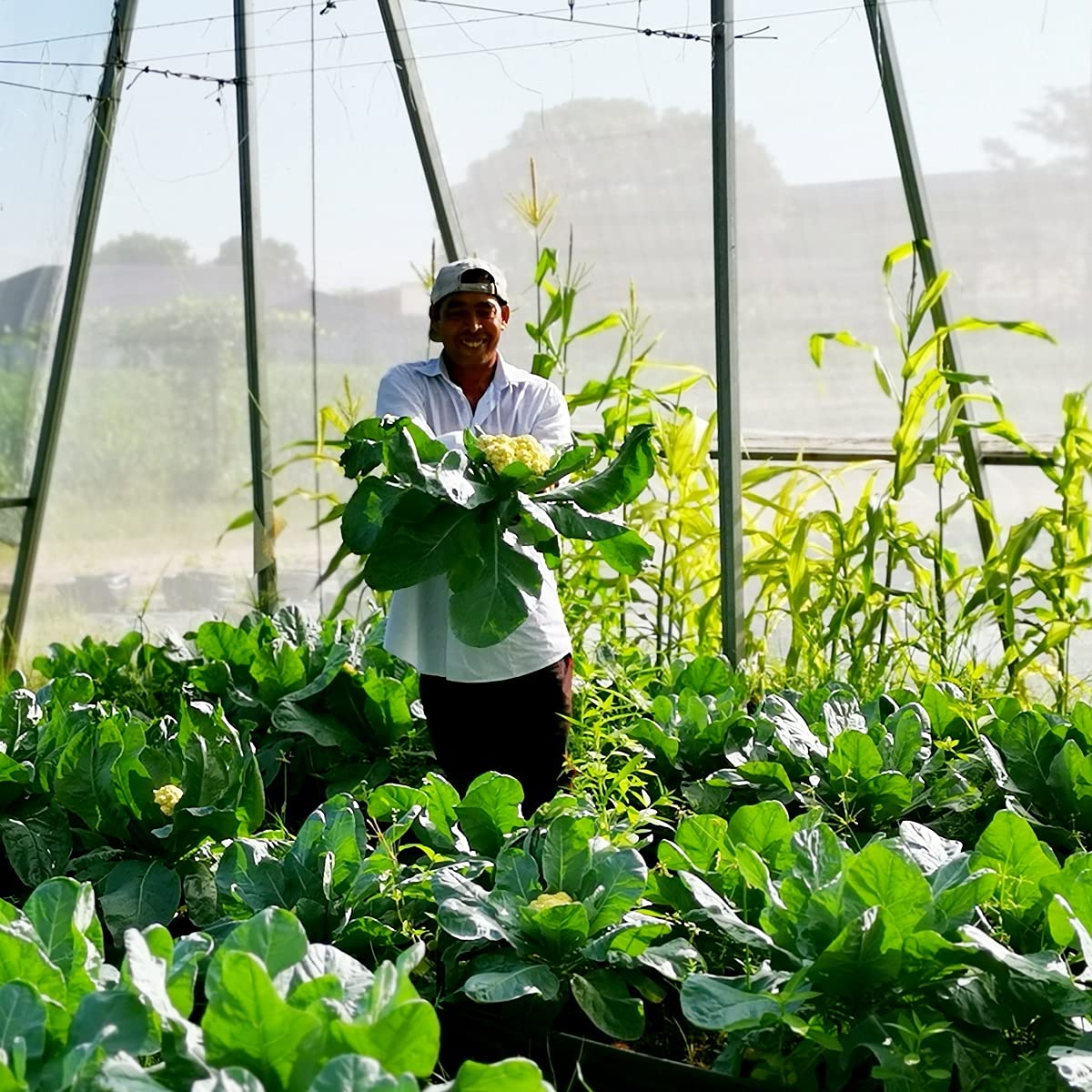 Garden Tailor selvedge-durable netting resists unraveling during garden use