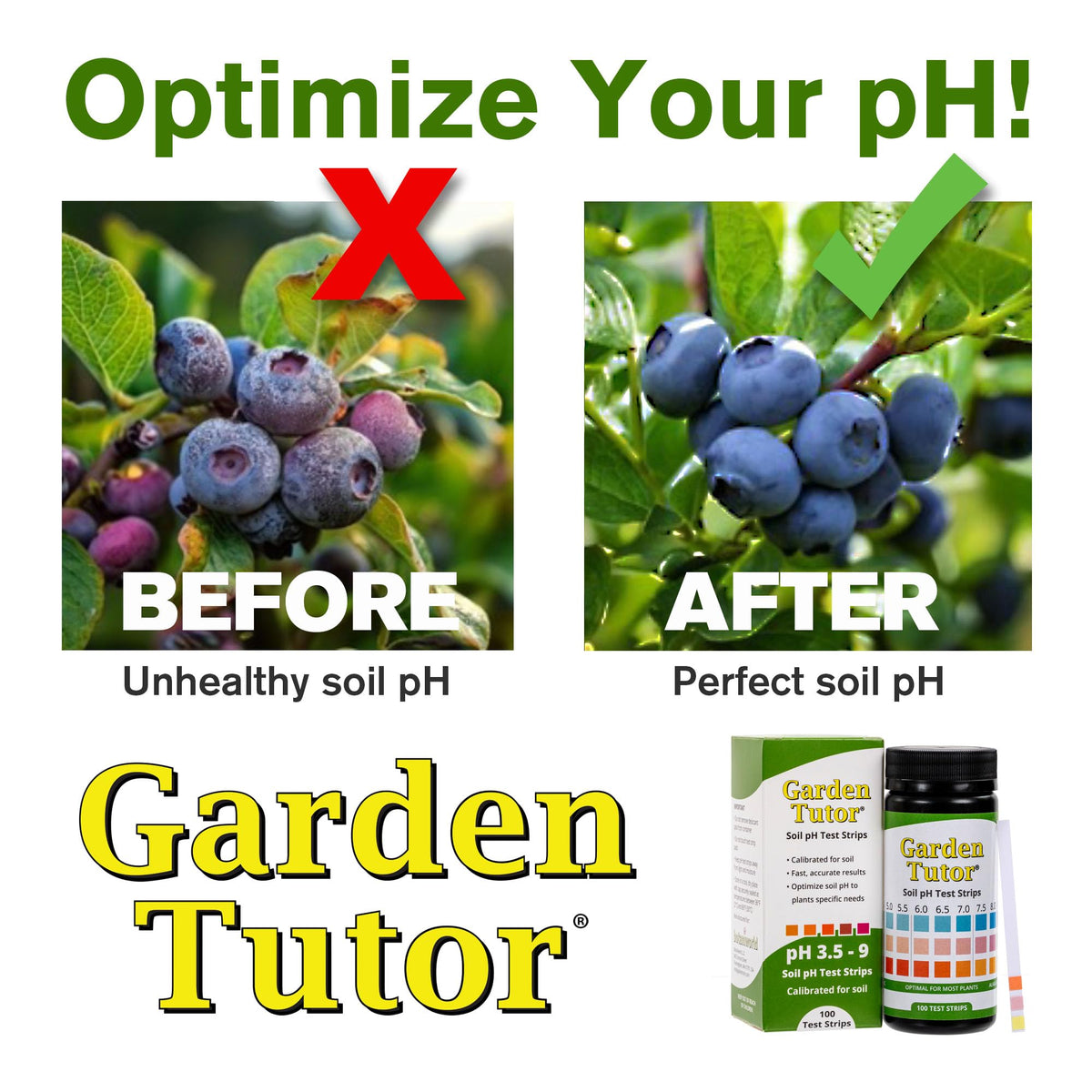 Garden Tutor soil testing kit components laid out for easy setup.