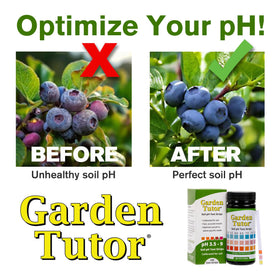 Garden Tutor soil testing kit components laid out for easy setup.