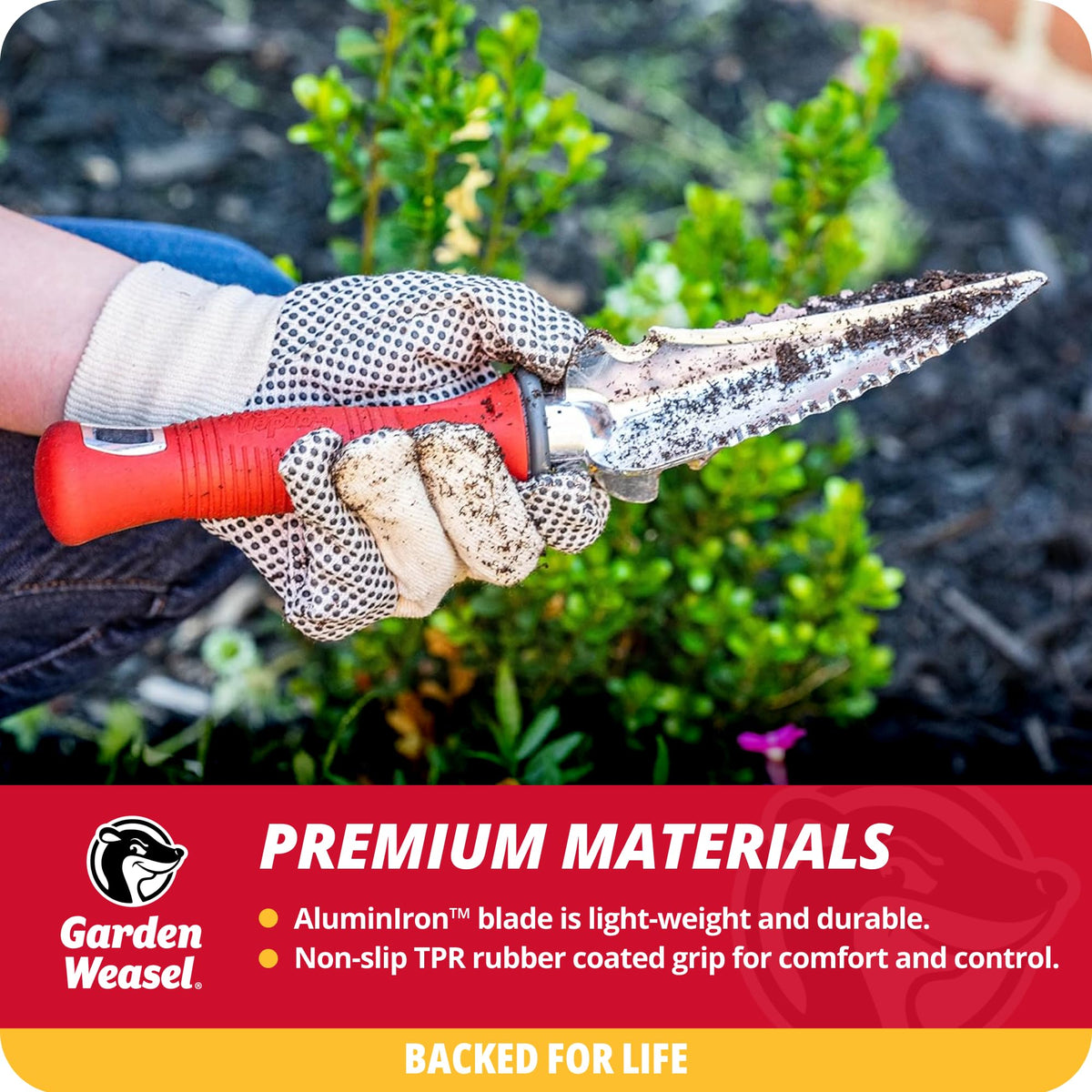 Garden Weasel transplanter with serrated edges cuts through roots for weeding.