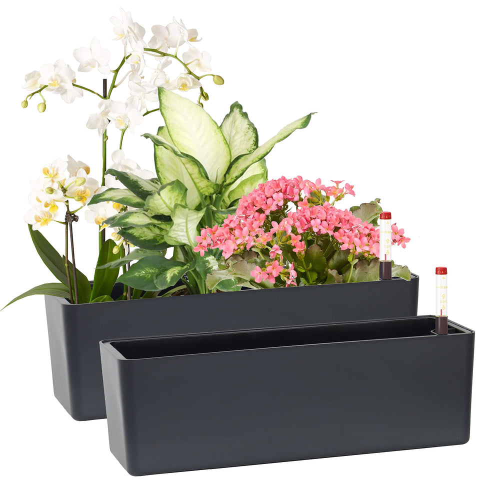 GardenBasix elongated planter window box 2-pack in dark grey for stylish herb display.