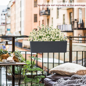 GardenBasix window box on a desk, ideal for herbs and compact greens.