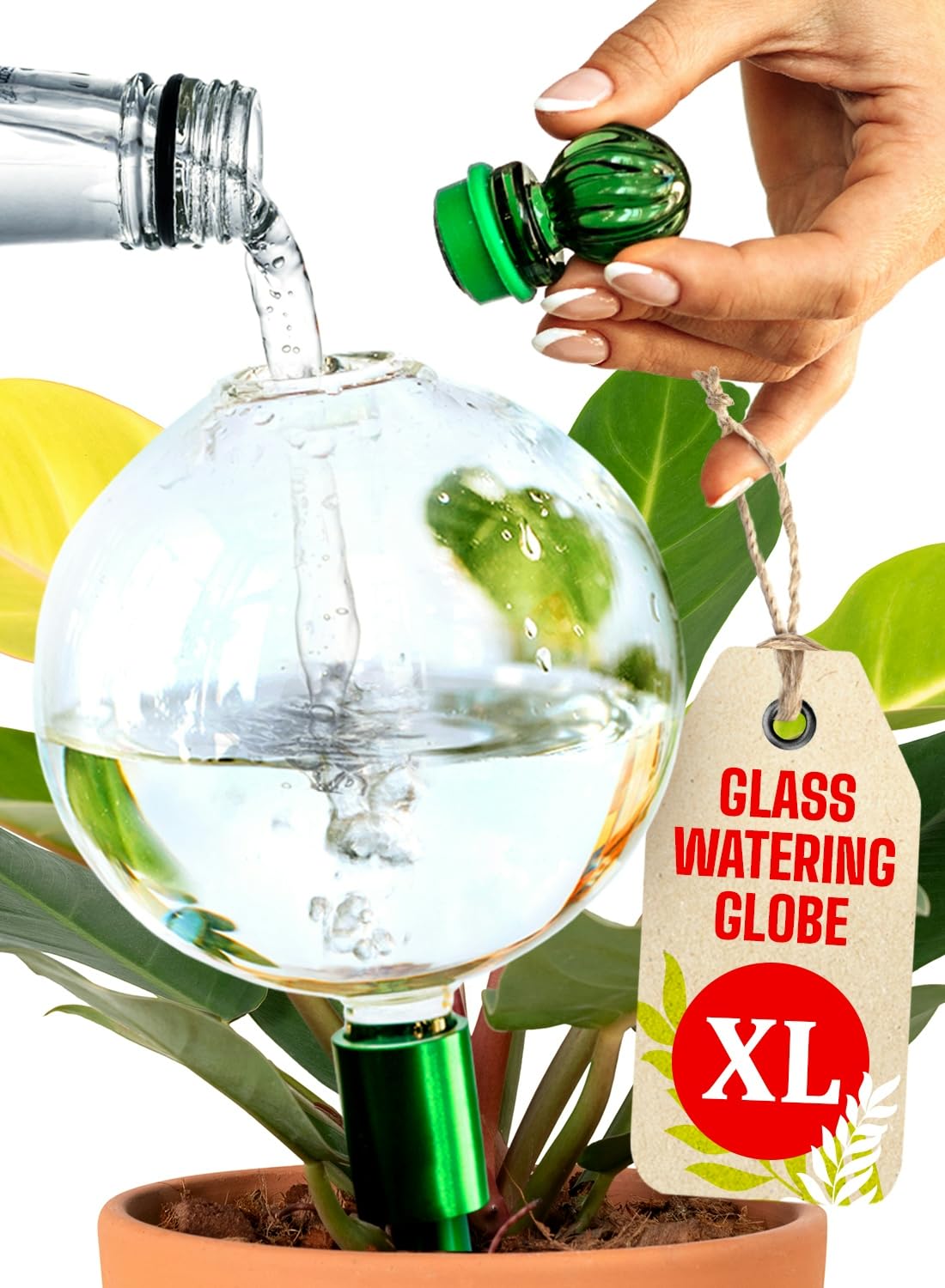 Gardenbro 16oz glass watering globe, clear design for indoor plants' steady hydration