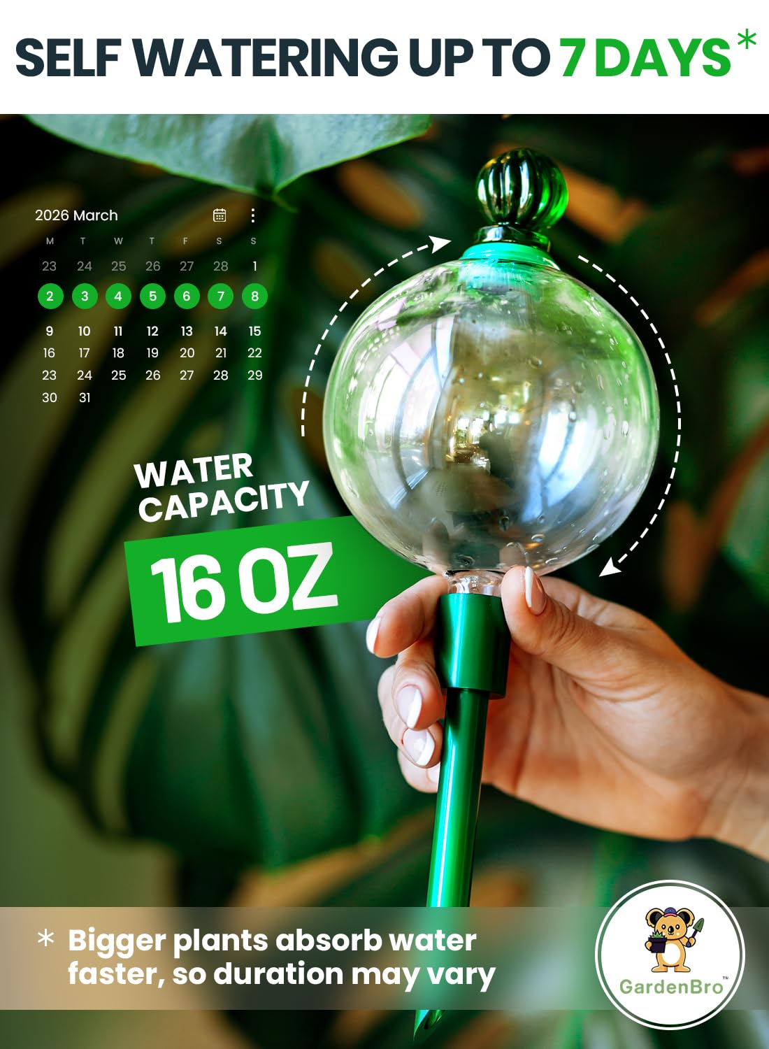 Gardenbro hand-blown glass globe highlights decorative, automatic watering for houseplants