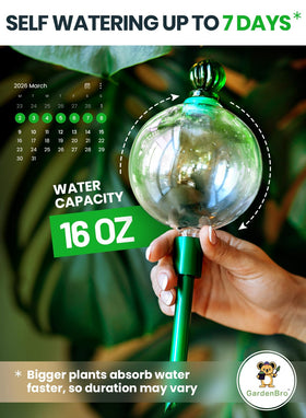 Gardenbro hand-blown glass globe highlights decorative, automatic watering for houseplants