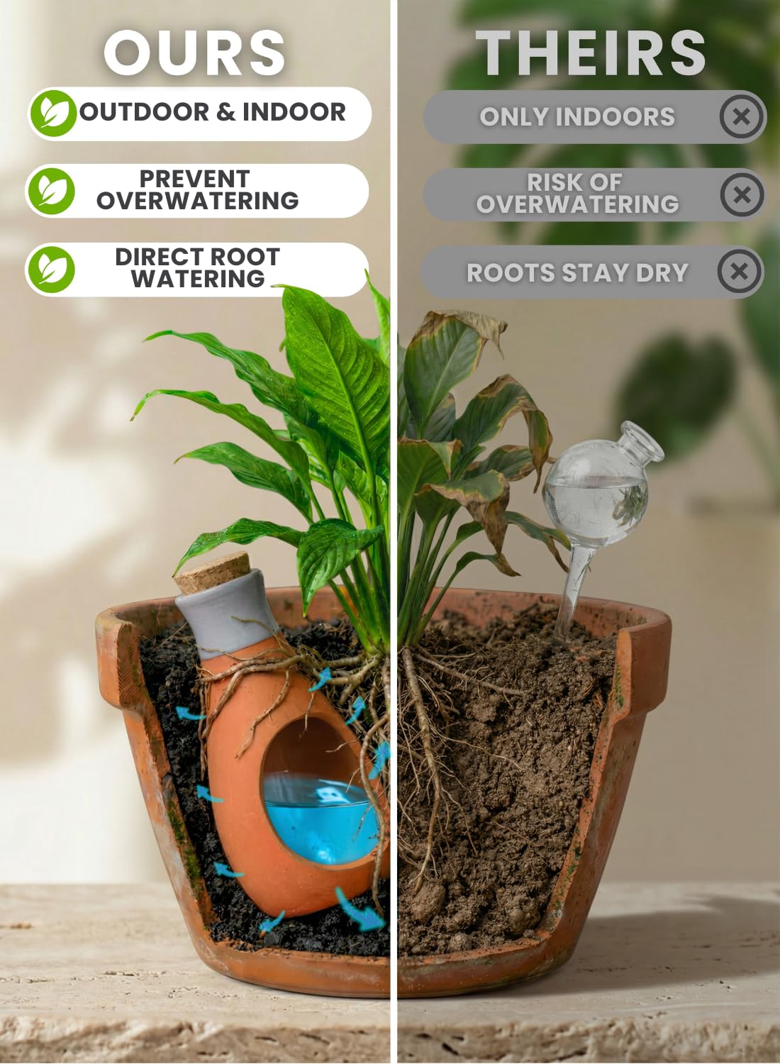 GardenBro indoors with terracotta Olla for easy care.