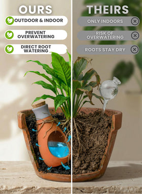 GardenBro indoors with terracotta Olla for easy care.