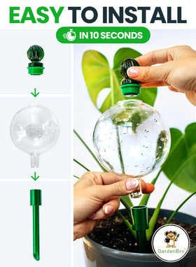 Gardenbro vacation-friendly watering globe keeps plants alive while away