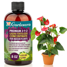 Gardenera 3-1-2 liquid fertilizer bottle boosting indoor plant foliage