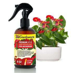 Gardenera Anthurium spray-mist bottle applying gentle nutrients for vibrant blooms