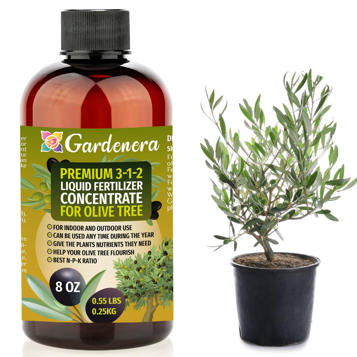 Gardenera bottle with olive tree demonstrating easy fertilizer application for lush indoor growth