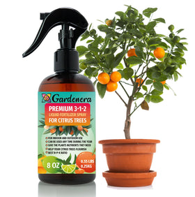 Gardenera citrus tree spray bottle delivering gentle nourishment for lush foliage