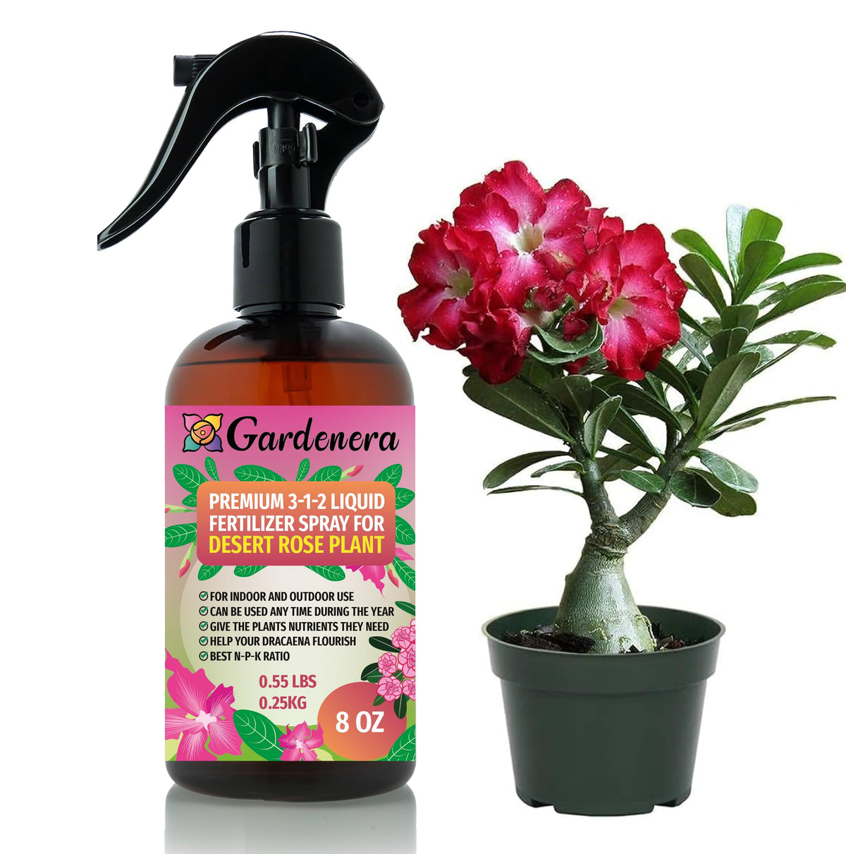 Gardenera Desert Rose spray bottle applying a gentle fertilizer mist for vibrant blooms.