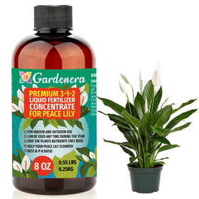 Gardenera liquid fertilizer bottle pour for Peace Lily supports healthy indoor growth