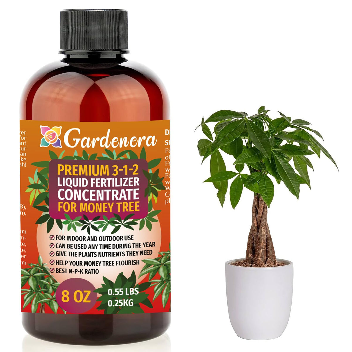 Gardenera money tree fertilizer bottle supports vibrant indoor growth.