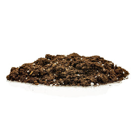 Gardenera Money Tree Soil Mix supports vibrant leaf shine on indoor money trees