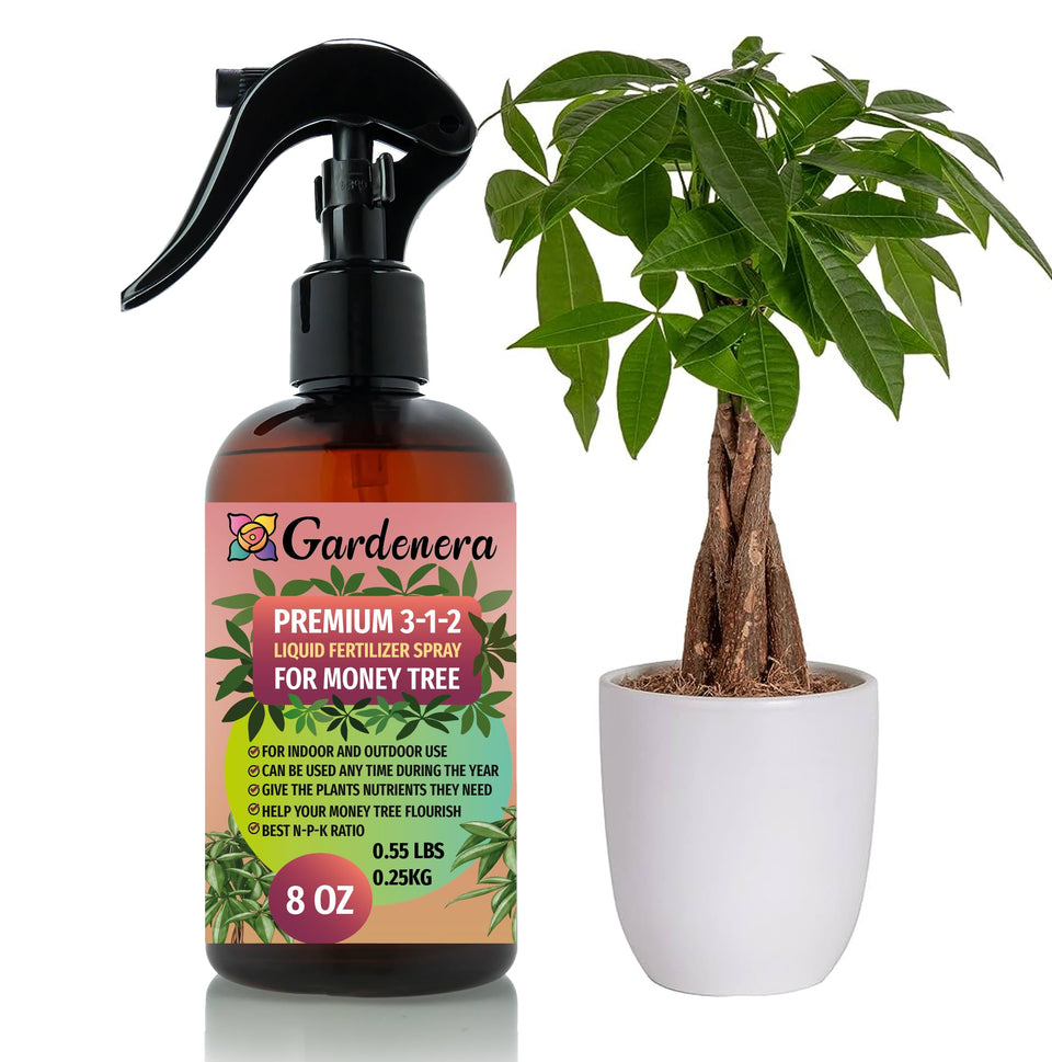 Gardenera money tree spray bottle shows balanced nutrients for lush foliage and steady growth.