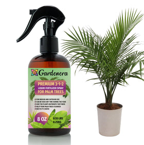 Gardenera palm tree spray bottle delivering gentle fertilizer mist for healthy fronds.