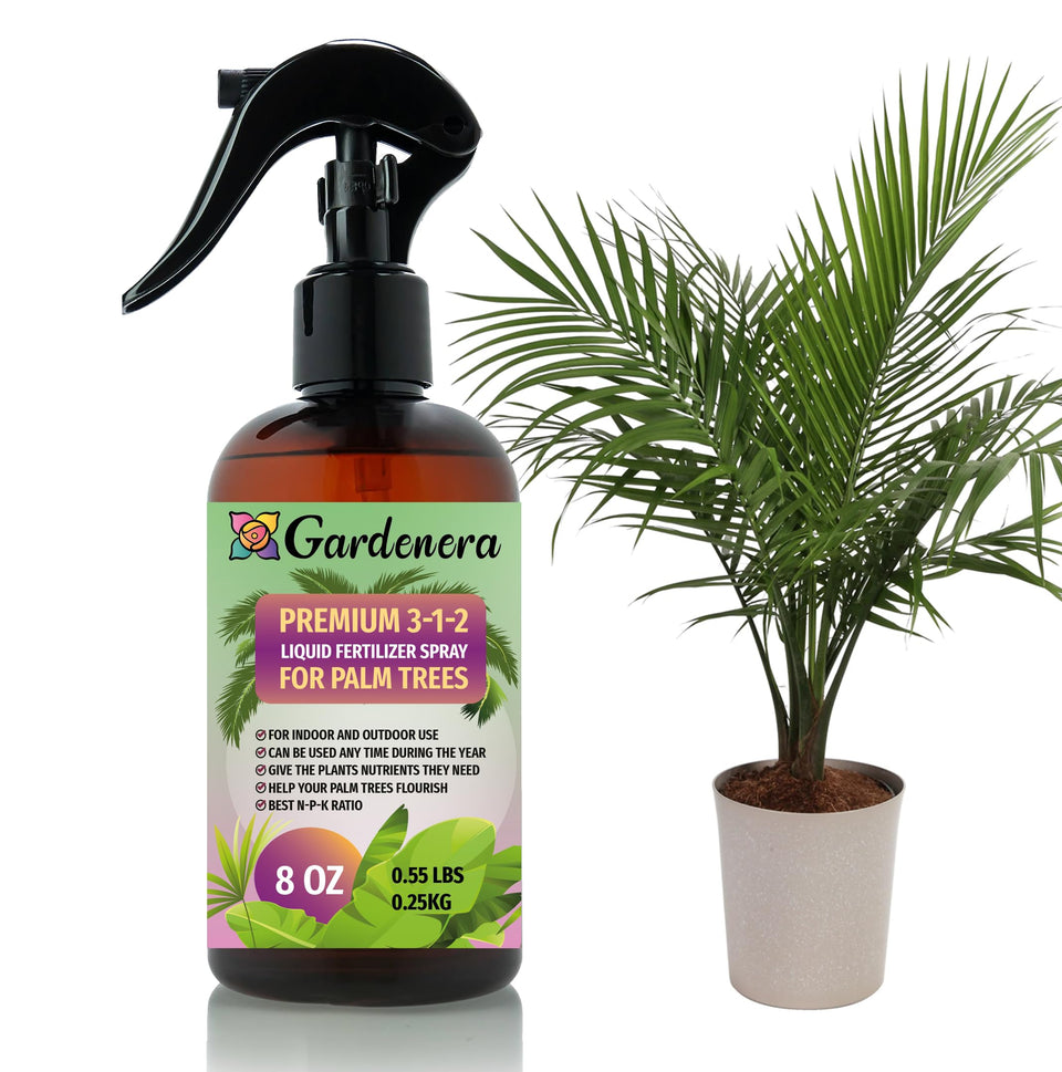 Gardenera palm tree spray bottle delivering gentle fertilizer mist for healthy fronds.